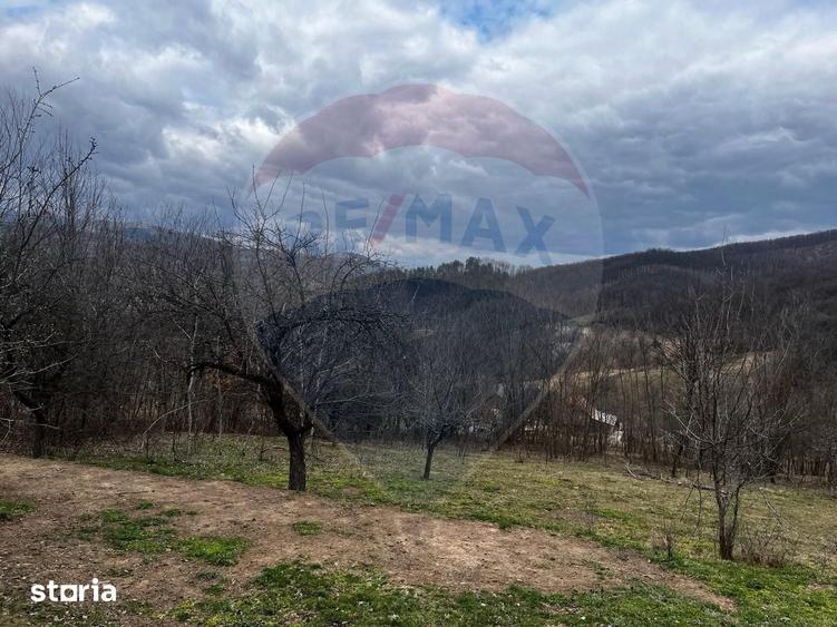 Teren de 12458 mp, în Meteș