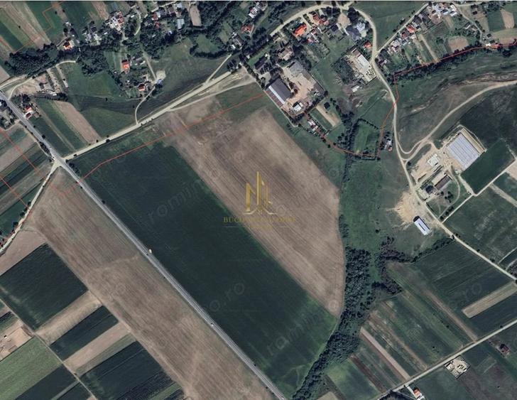 Teren de 100000 mp, în Iacobești