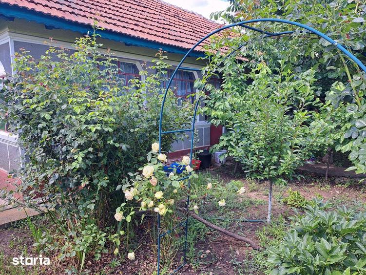 Casă cu 4 camere cu Teren 1280 Mp în Sinești