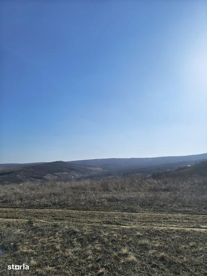 Teren de 510 mp, în Tomești