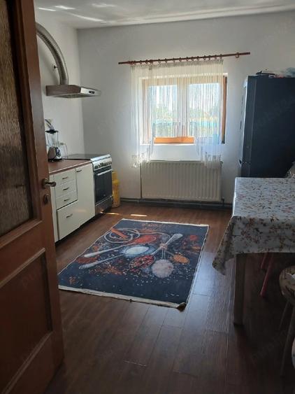 Casă cu Teren 950 Mp în Cărpiniș