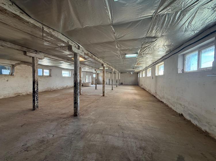 Spațiu industrial, de 230 mp, în Electroprecizia