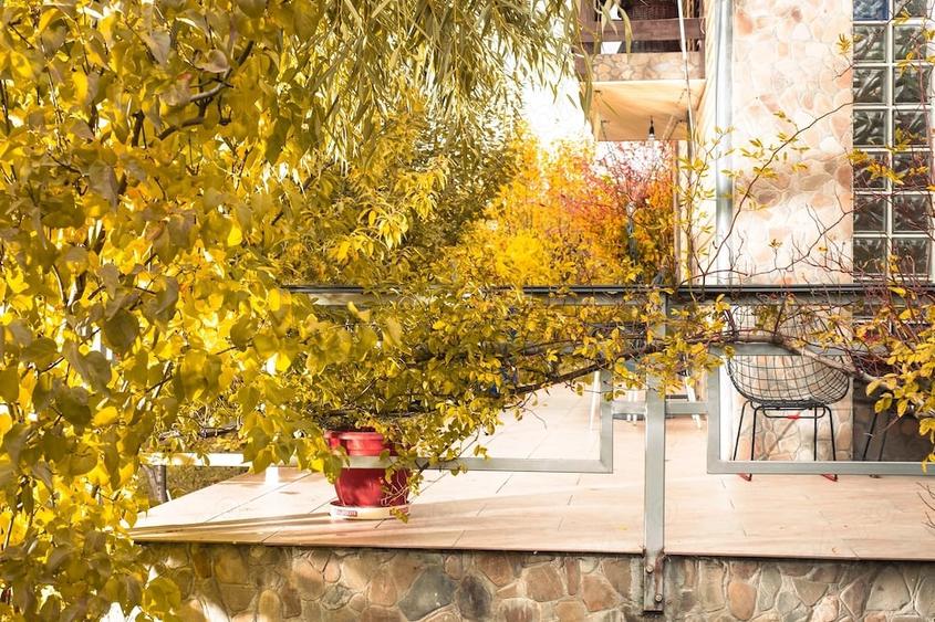 Casă cu 3 camere cu Teren 2500 Mp în Drajna