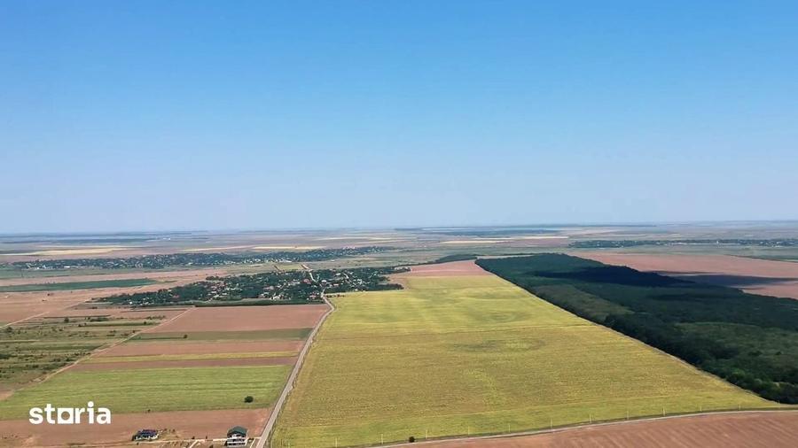 Teren pozitie superba, lipit de padure, intravilan, zona Frumusani. - 5