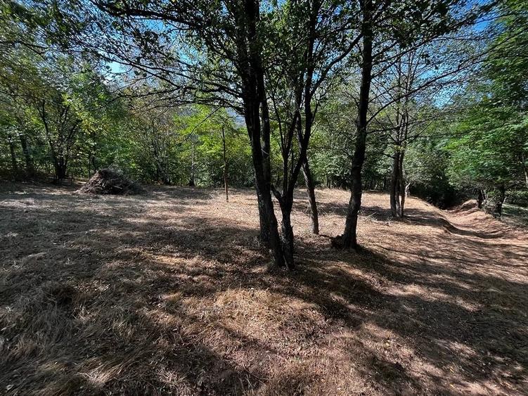 Teren de 700 mp, în Baru