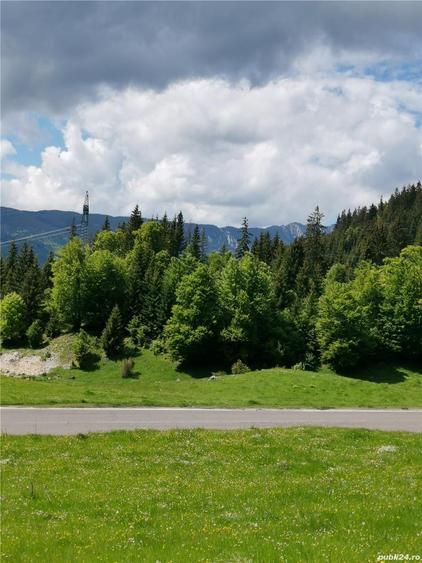 Teren de 3000 mp, în Boiu Mare