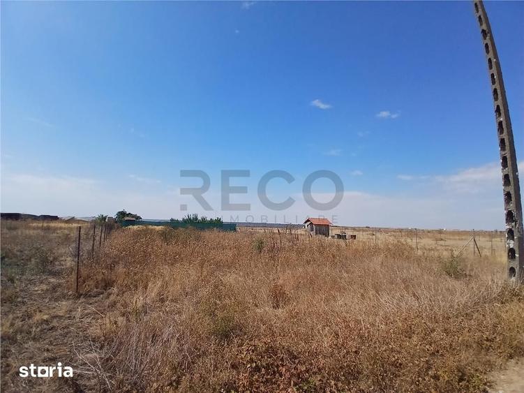 RECO Teren intravilan 500 mp Livada de bihor - 2