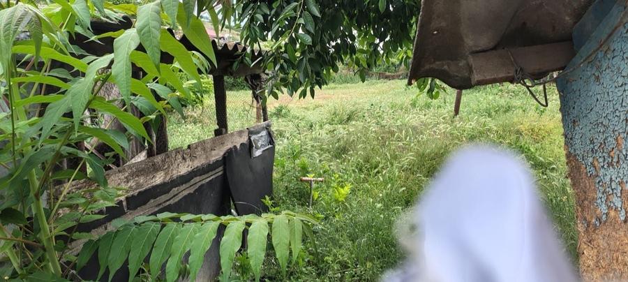 Casă cu 2 camere în Mahmudia