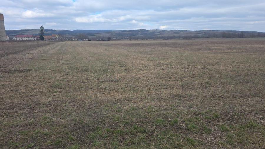 Teren Construcții intravilan de 20200 mp, în Exterior Est