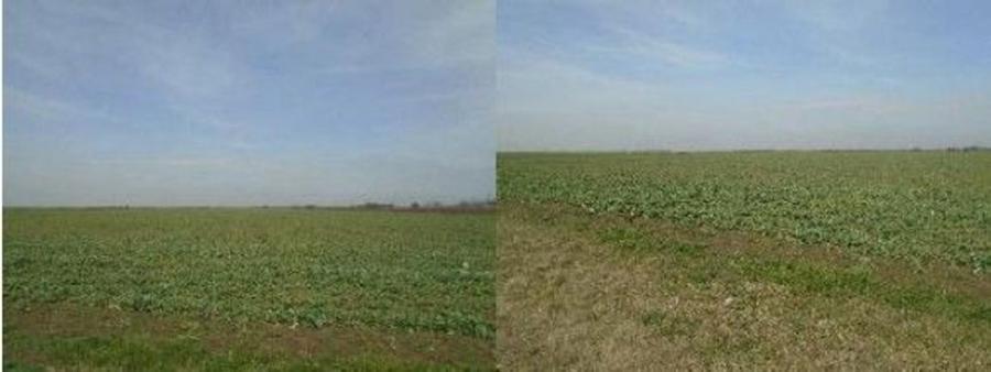 Teren de 6950 mp, în Tudor Vladimirescu