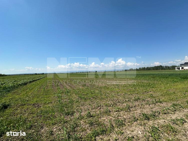 Teren de 5300 mp, în Frătăuții Vechi