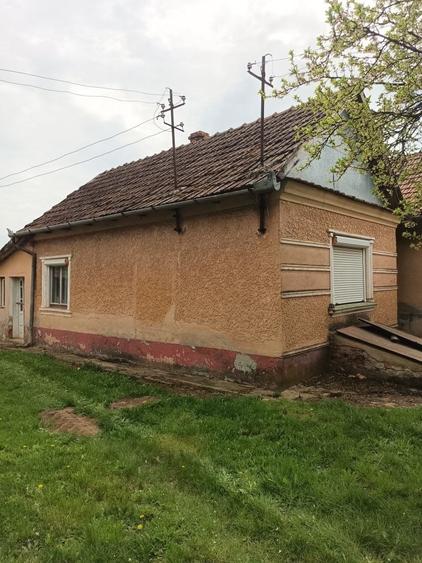 Casă cu 2 camere în Albiș