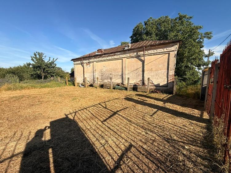 Casă individuală cu 3 camere cu Teren 5783 Mp în Segarcea-Vale