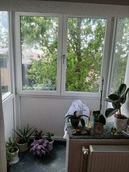 3Camere Salaj Aleea Imasului - 5