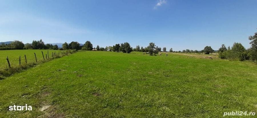 Teren 9350 mp Bran Livada, Extravilan - 3