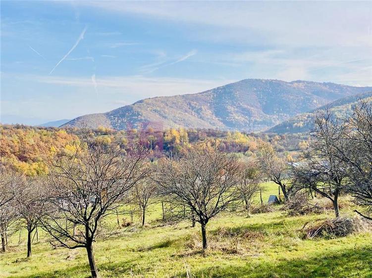 Teren intravilan de 1000 mp, în Sibiel
