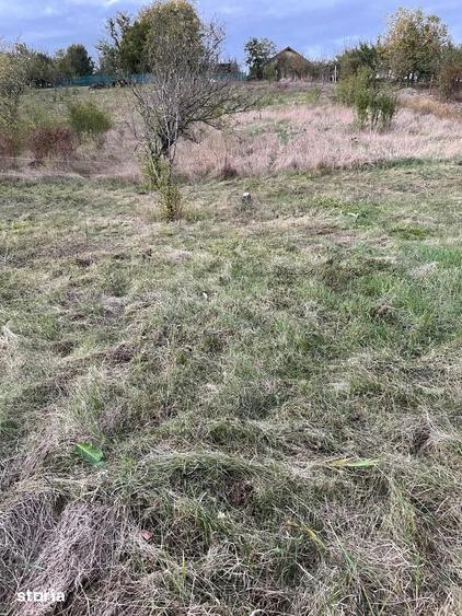 Teren de 833 mp, în Apahida