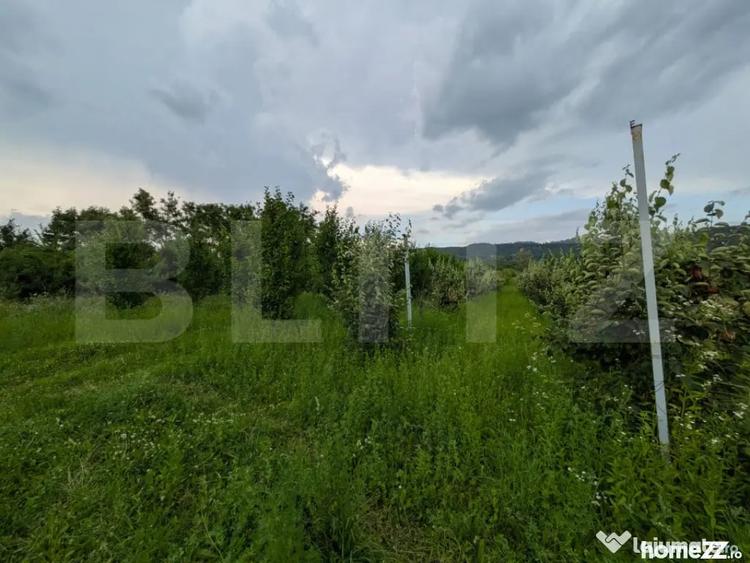 Teren în Voinești