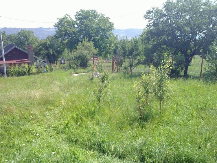 Casă cu 10 camere cu Canalizare în Vest