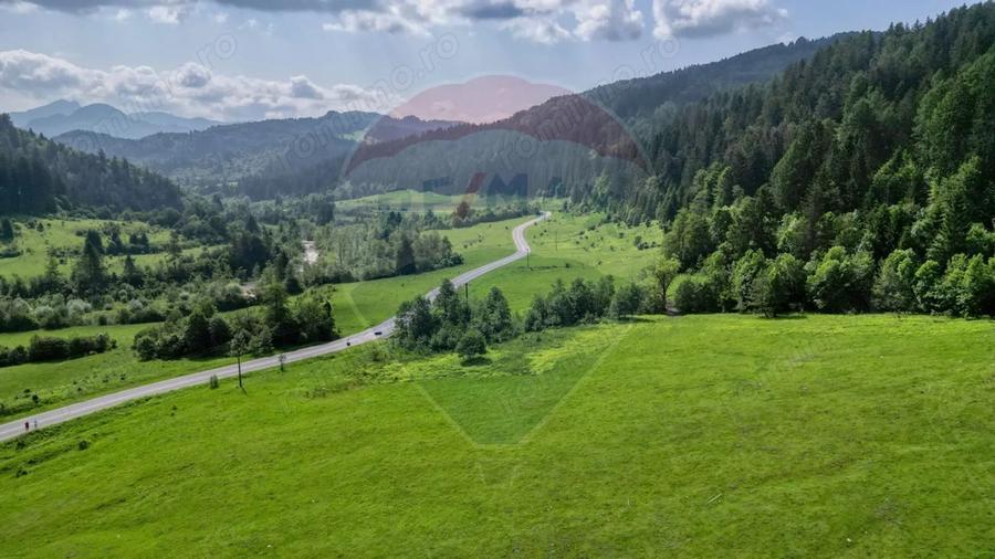 Teren de 10000 mp, în Brădet