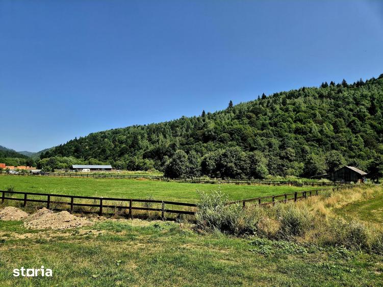 Teren de 5700 mp, în Plaiul Foii