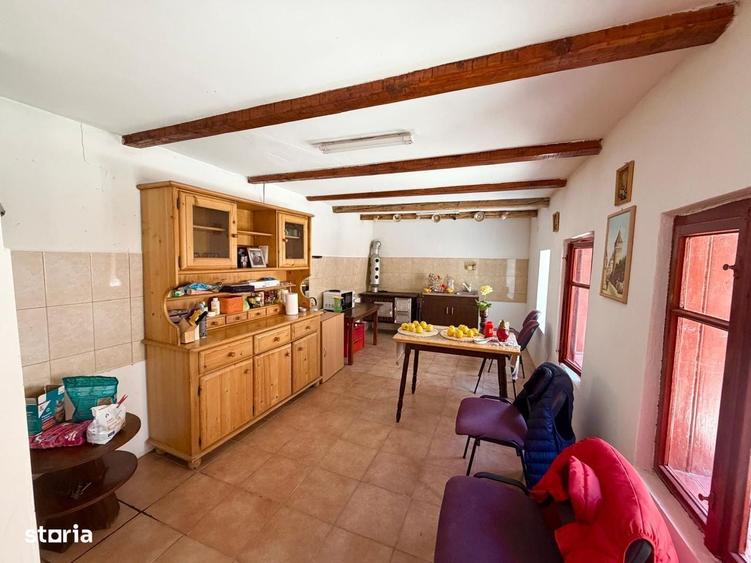 Casa pe un singur nivel+2974mp teren in Aciliu - 8