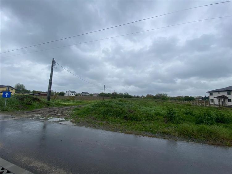 Teren Construcții intravilan de 3993 mp, în Ciorogârla