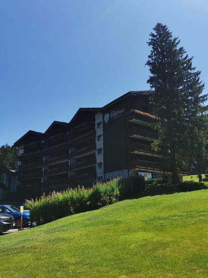 Vanzare casa si teren - 6