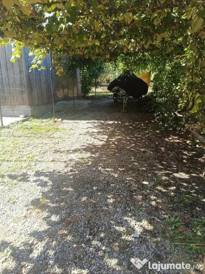 Casă cu 5 camere cu Teren 4925 Mp în Lechința