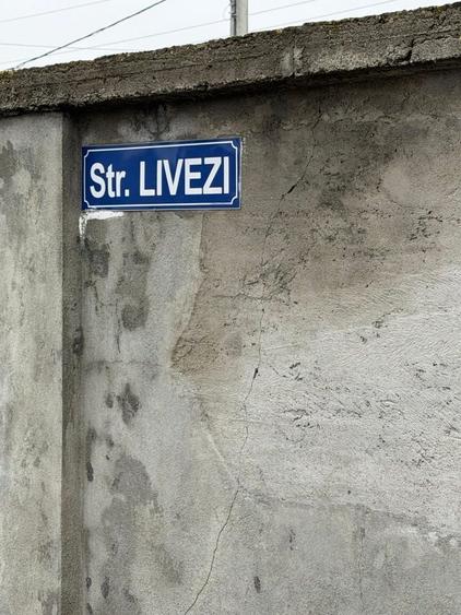 Spațiu comercial, în Milcov
