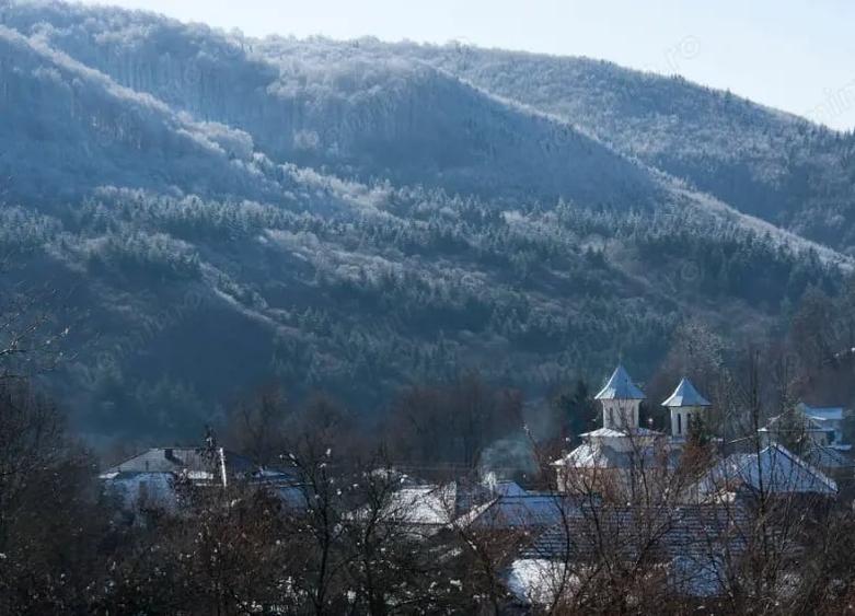 Teren de 17000 mp, în Nucșoara