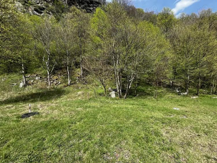 Teren de 919 mp, în Clopotiva