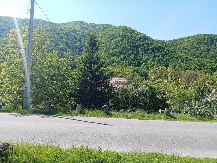 Teren de 1600 mp, în Central