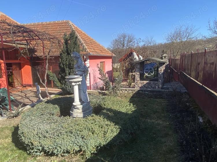 Casă cu 3 camere cu Teren 1100 Mp în Sarmizegetusa