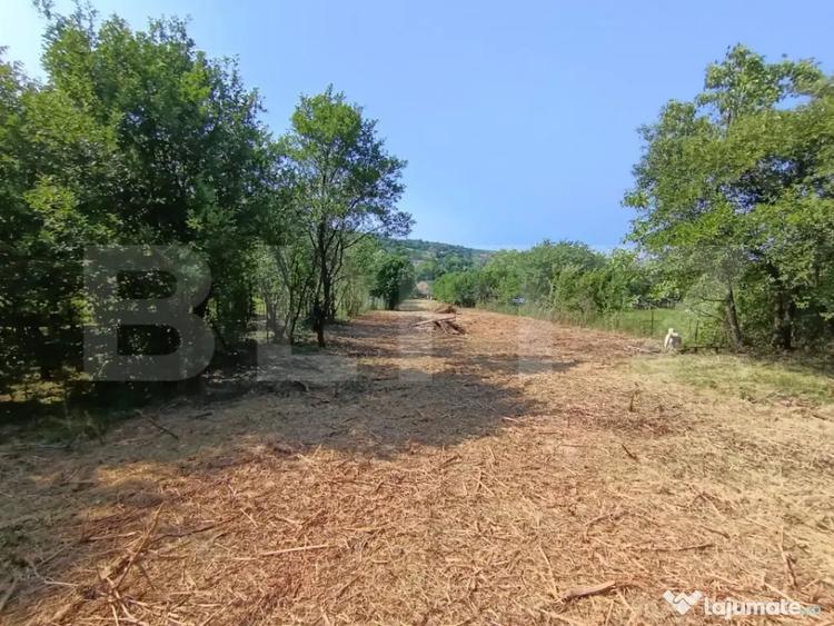 Casă cu 2 camere cu Teren 3350 Mp în Central