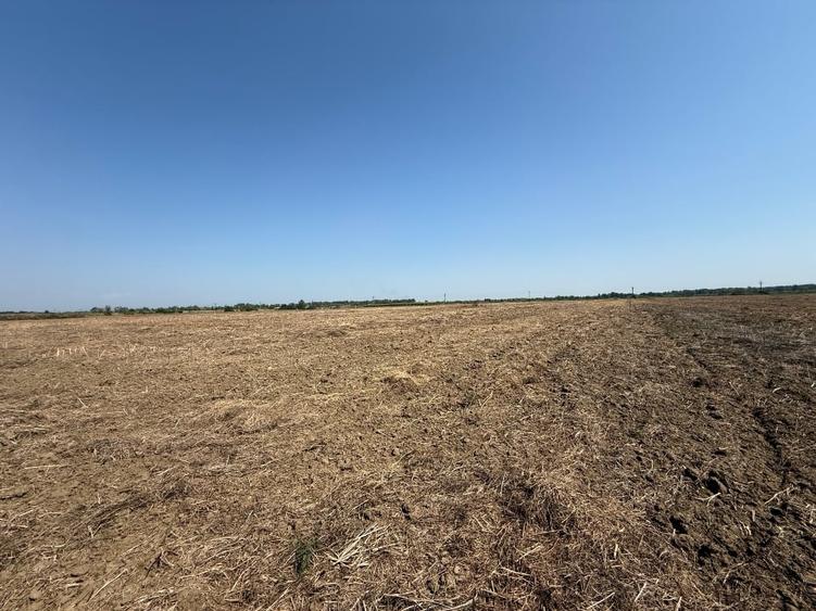 Teren agricol extravilan de 30000 mp, în Uliești