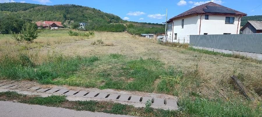 Vand doua parcele de teren Aghiresu Fabrici - 1