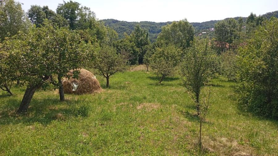 Casă individuală cu 5 camere cu Teren 10000 Mp în Văleni-Dâmbovița