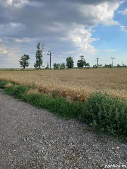 Teren de 12000 mp, în Țintești