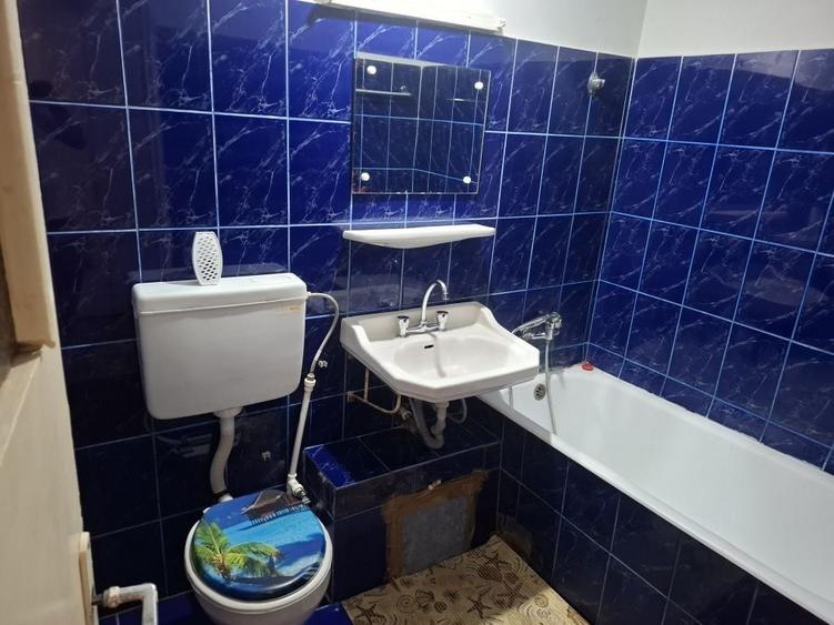 Garsonieră în Brazda lui Novac