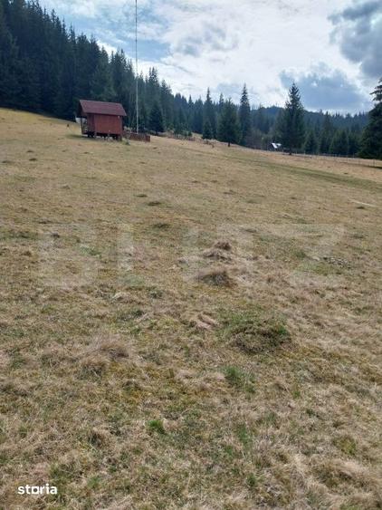 Teren de 4000 mp, în Central