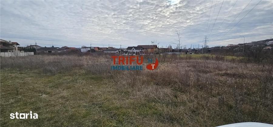 Teren de 5998 mp, în Cetate