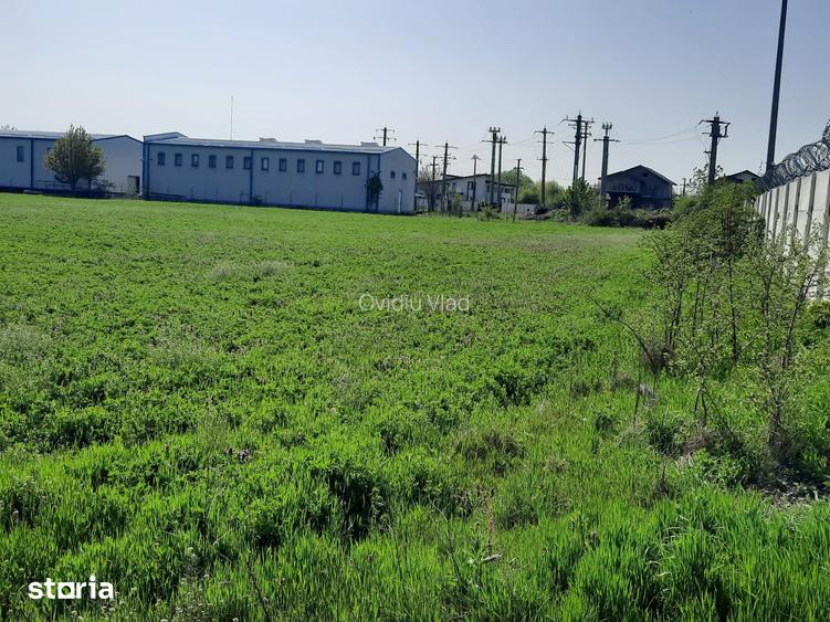 FARA COMISIOANE in Joita aproape de drumul asfaltat teren de 4600mp