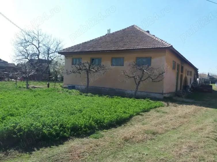Casă cu 6 camere în Maglavit