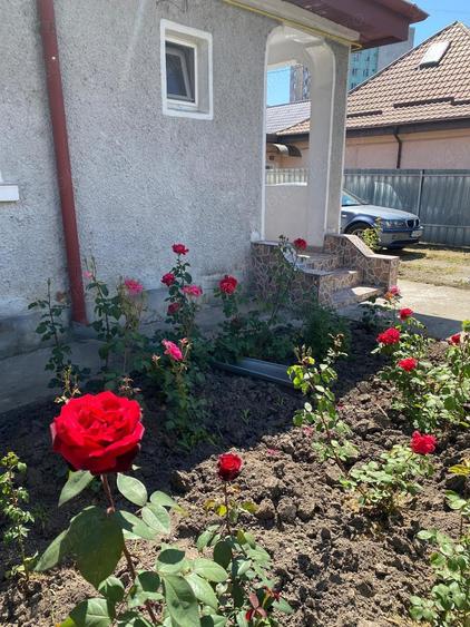 Inchiriez Casa pentru locuit birouri sau alte activitati - 1