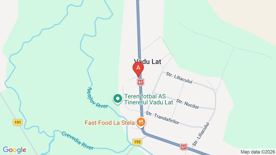 Teren Construcții intravilan de 3000 mp, în Vadu Lat