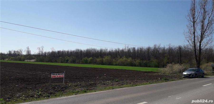 Teren de 25000 mp, în Afumați