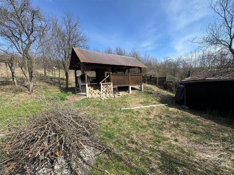 Teren Construcții intravilan de 11400 mp, în Corpadea