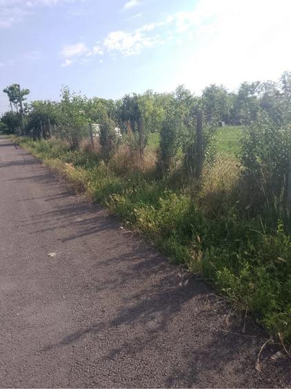 Teren de 1000 mp, în Măicănești