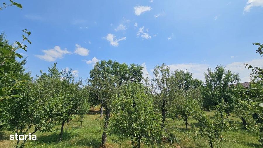 Teren de 480 mp, în Central
